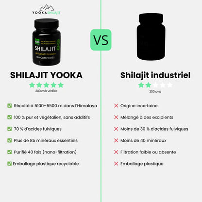 COMPRIMÉS DE SHILAJIT NATUREL - X120