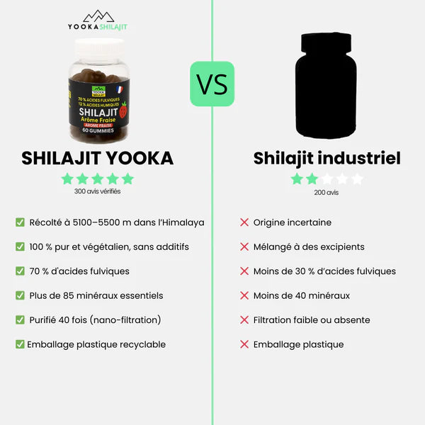 GUMMIES DE SHILAJIT NATUREL - X60 GOÛT FRAISE
