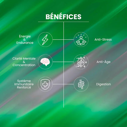 4 FABULOUS – BOOSTER NATUREL 4-EN-1 (60 GÉLULES)