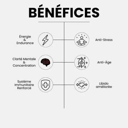 RÉSINE DE SHILAJIT NATUREL