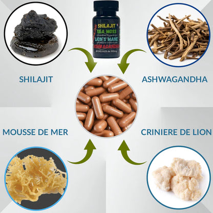 4 FABULOUS – BOOSTER NATUREL 4-EN-1 (60 GÉLULES)