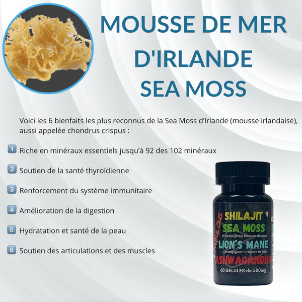 4 FABULOUS – BOOSTER NATUREL 4-EN-1 (60 GÉLULES)