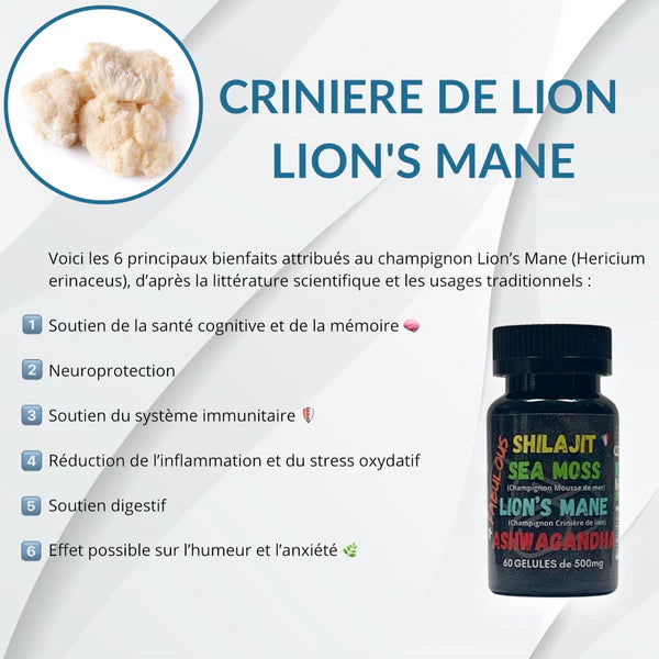 4 FABULOUS – BOOSTER NATUREL 4-EN-1 (60 GÉLULES)