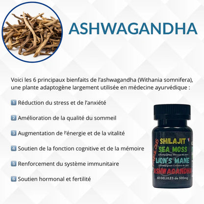 4 FABULOUS – BOOSTER NATUREL 4-EN-1 (60 GÉLULES)