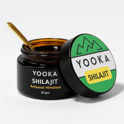 RÉSINE DE SHILAJIT NATUREL