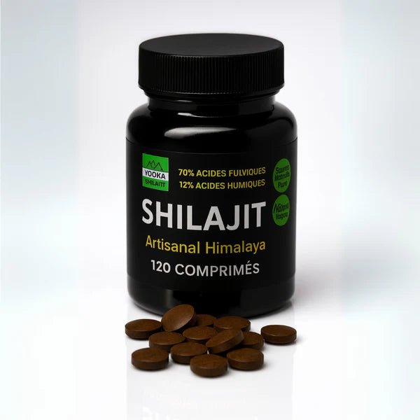 COMPRIMÉS DE SHILAJIT NATUREL - X120