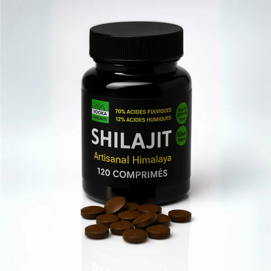 COMPRIMÉS DE SHILAJIT NATUREL - X120