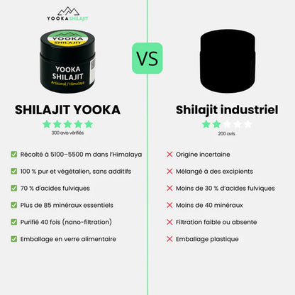RÉSINE DE SHILAJIT NATUREL