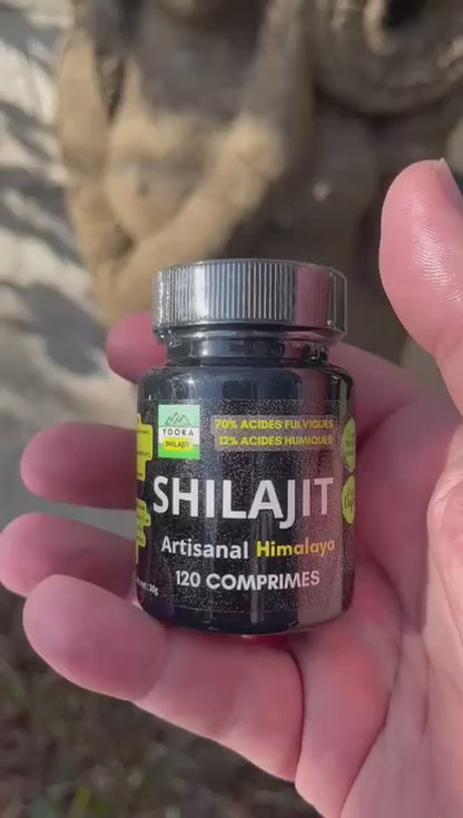 COMPRIMÉS DE SHILAJIT NATUREL - X120