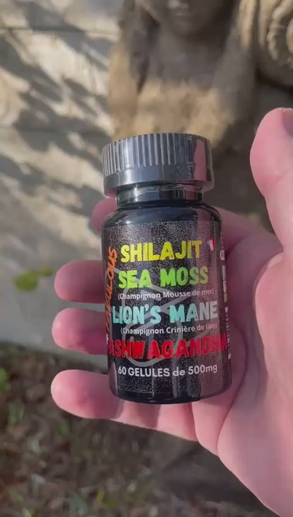 4 FABULOUS – BOOSTER NATUREL 4-EN-1 (60 GÉLULES)